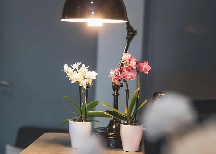 Au Bout Du Quai ホテル グランビル